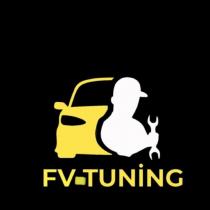 fv-tuning