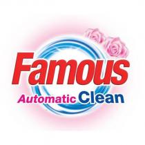 famous automatic clean