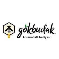 gökbudak arıların tatlı hediyesi