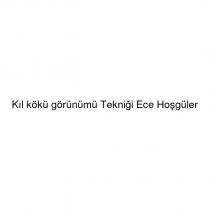 kıl kökü görünümü tekniği ece hoşgüler