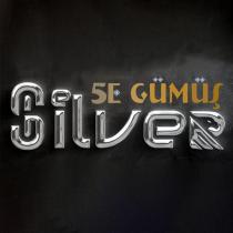 5e gümüş silver