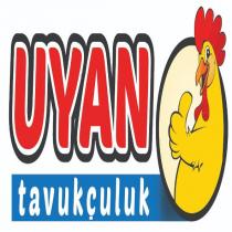 uyan tavukçuluk