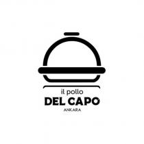 il pollo del capo ankara
