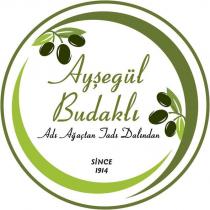 ayşegül budaklı adı ağaçtan tadı dalından since 1914