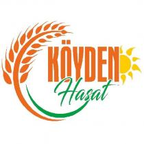 köyden hasat