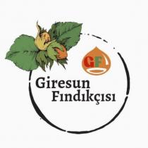 gf giresun fındıkçısı