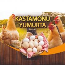 kastamonu yumurta çiftlikten