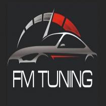 fm tunıng