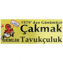 1979'dan günümüze çakmak gemlik tavukçuluk süper besi piliçler