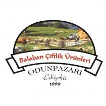 çürükoğlu köfte's balaban çiftlik ürünleri odunpazarı eskişehir 1999