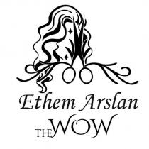 ethem arslan thewow