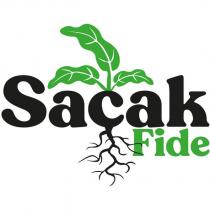 saçak fide
