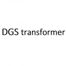 dgs transformer