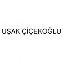 uşak çiçekoğlu