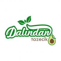 dalından tazecik