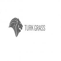 turk grass