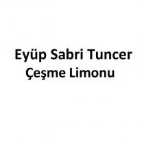 eyüp sabri tuncer çeşme limonu