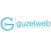 güzelweb - web solutions hosting