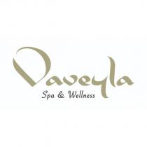 vaveyla spa wellness