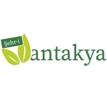 şehr-i antakya