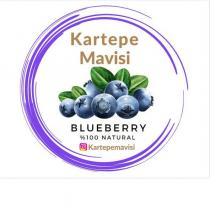 kartepe mavisi blueberry % 100 natural kartepemavisi