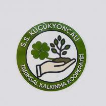 s.s. küçükyoncalı tarımsal kalkınma kooperatifi