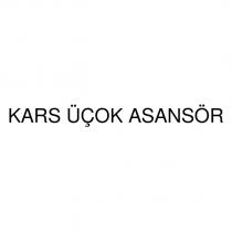 kars üçok asansör