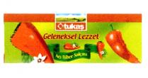 tukaş geleneksel lezzet acı biber salçası