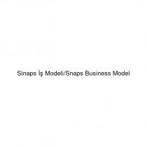 sinaps iş modeli/snaps business model