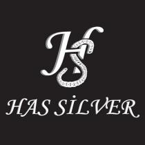 hs has silver