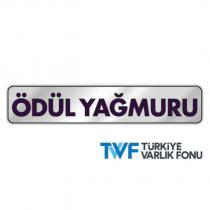 ödül yağmuru tvf türkiye varlık fonu