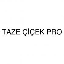 taze çiçek pro