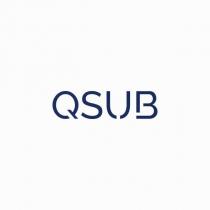 qsub