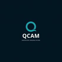 qcam endoscopic imaging system