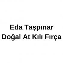 eda taspınar dogal at kılı fırca