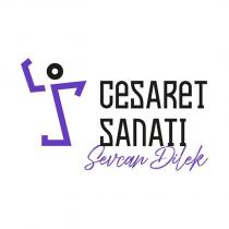 cesaret sanatı sevcan dilek
