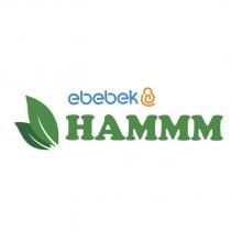 ebebek hammm
