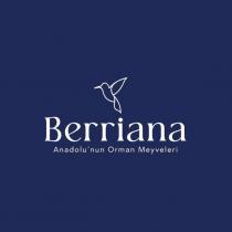 berriana anadolu'nun orman meyveleri
