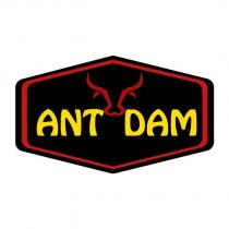 ant dam