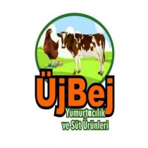 üjbej yumurtacılık ve süt ürünleri