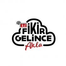 eti fikir gelince akla