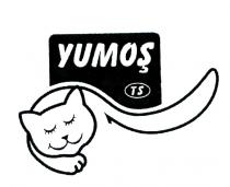 yumoş ts