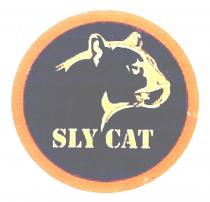 sly cat