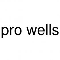 pro wells
