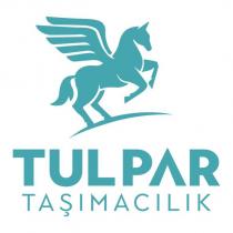 tulpar taşımacılık