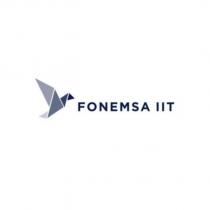 fonemsa ııt