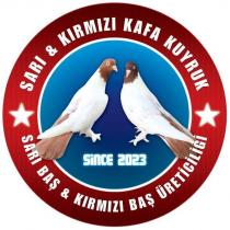sarı & kırmızı kafa kuyruk sarı baş & kırmızı baş üreticiliği since 2023