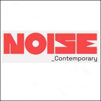 noıse _contemporary