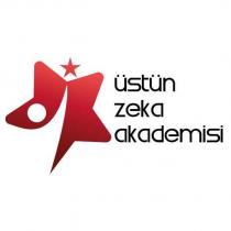 üstün zeka akademisi