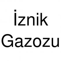 iznik gazozu